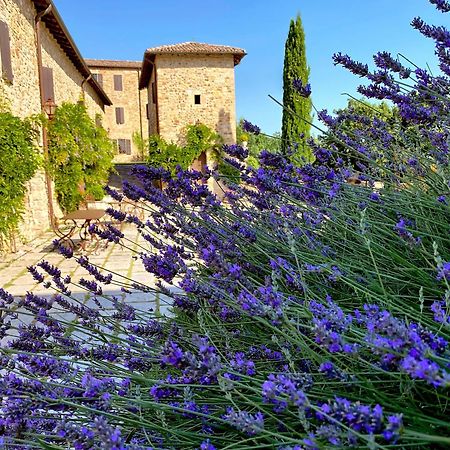 Castello Di Viano Villa Екстериор снимка