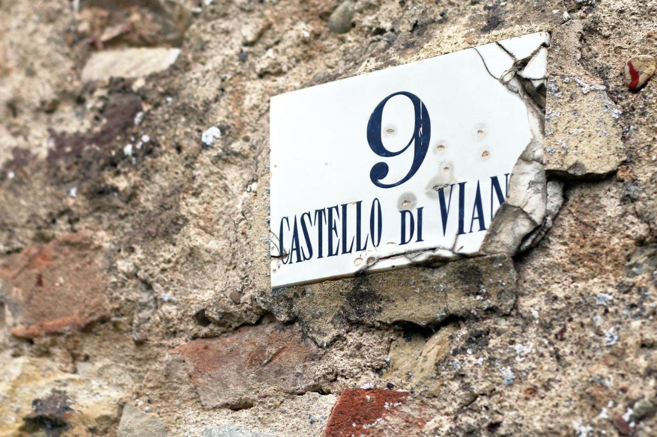 Castello Di Viano Villa Екстериор снимка