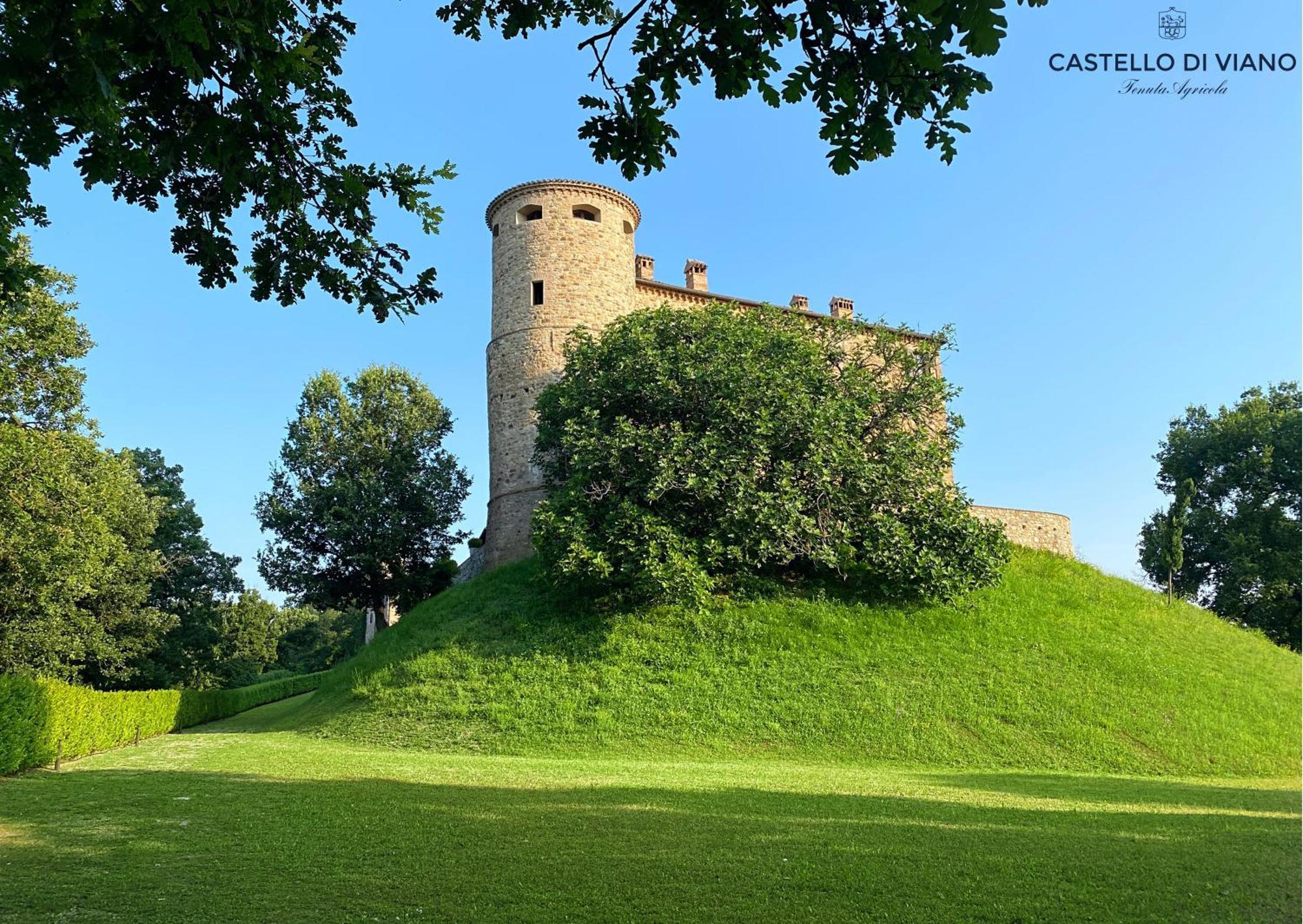 Castello Di Viano Villa Екстериор снимка