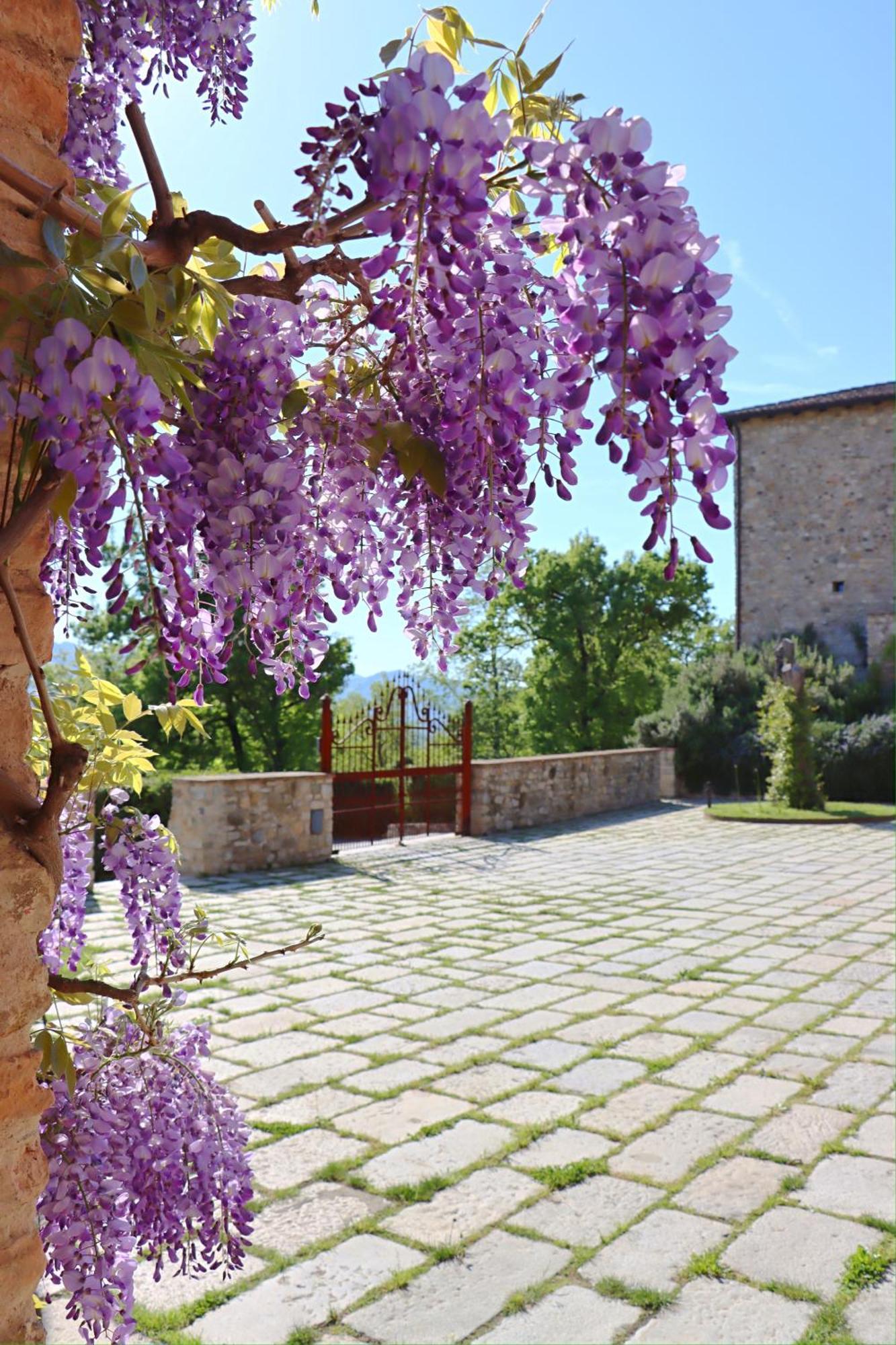 Castello Di Viano Villa Екстериор снимка