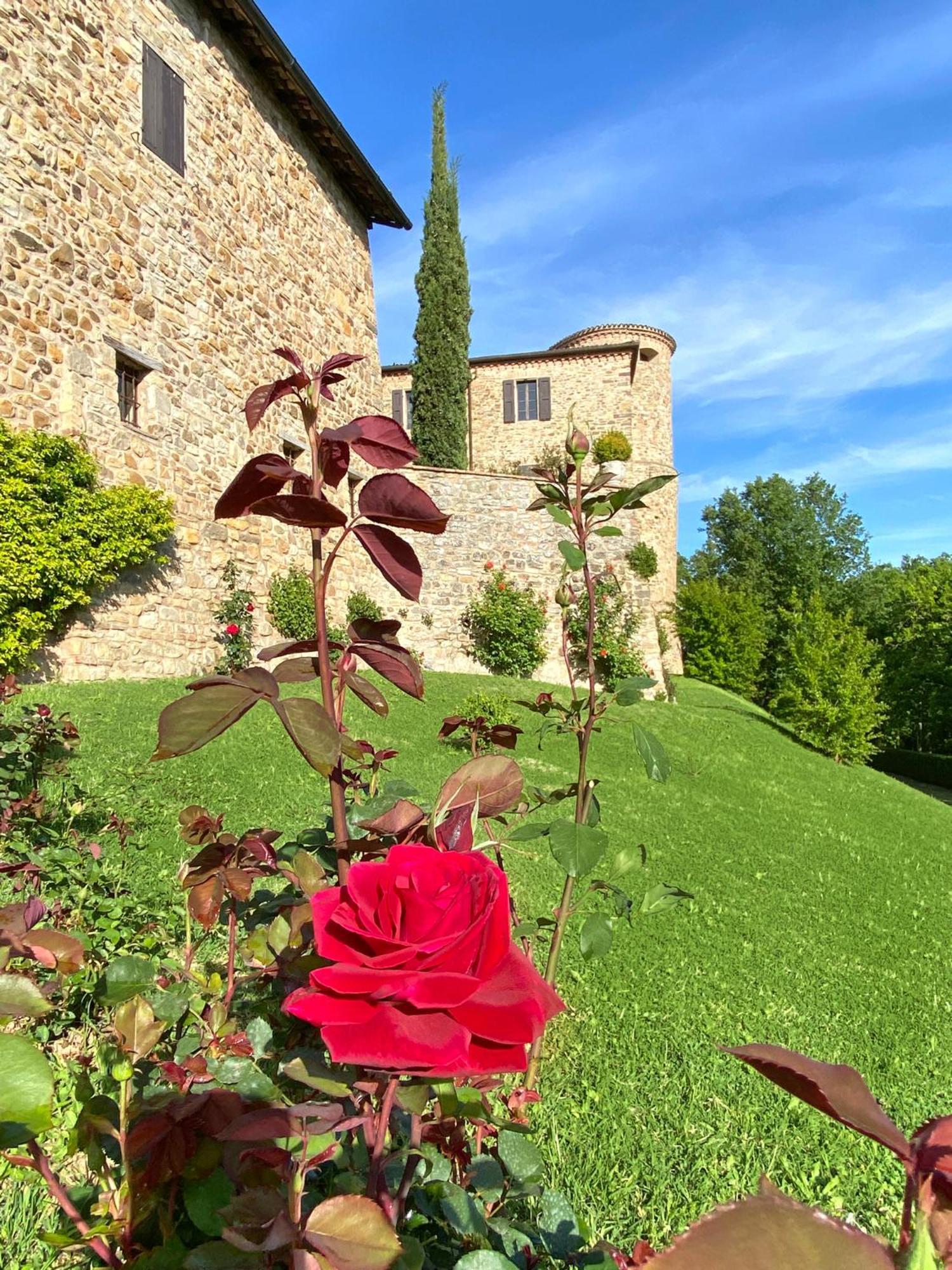 Castello Di Viano Villa Екстериор снимка