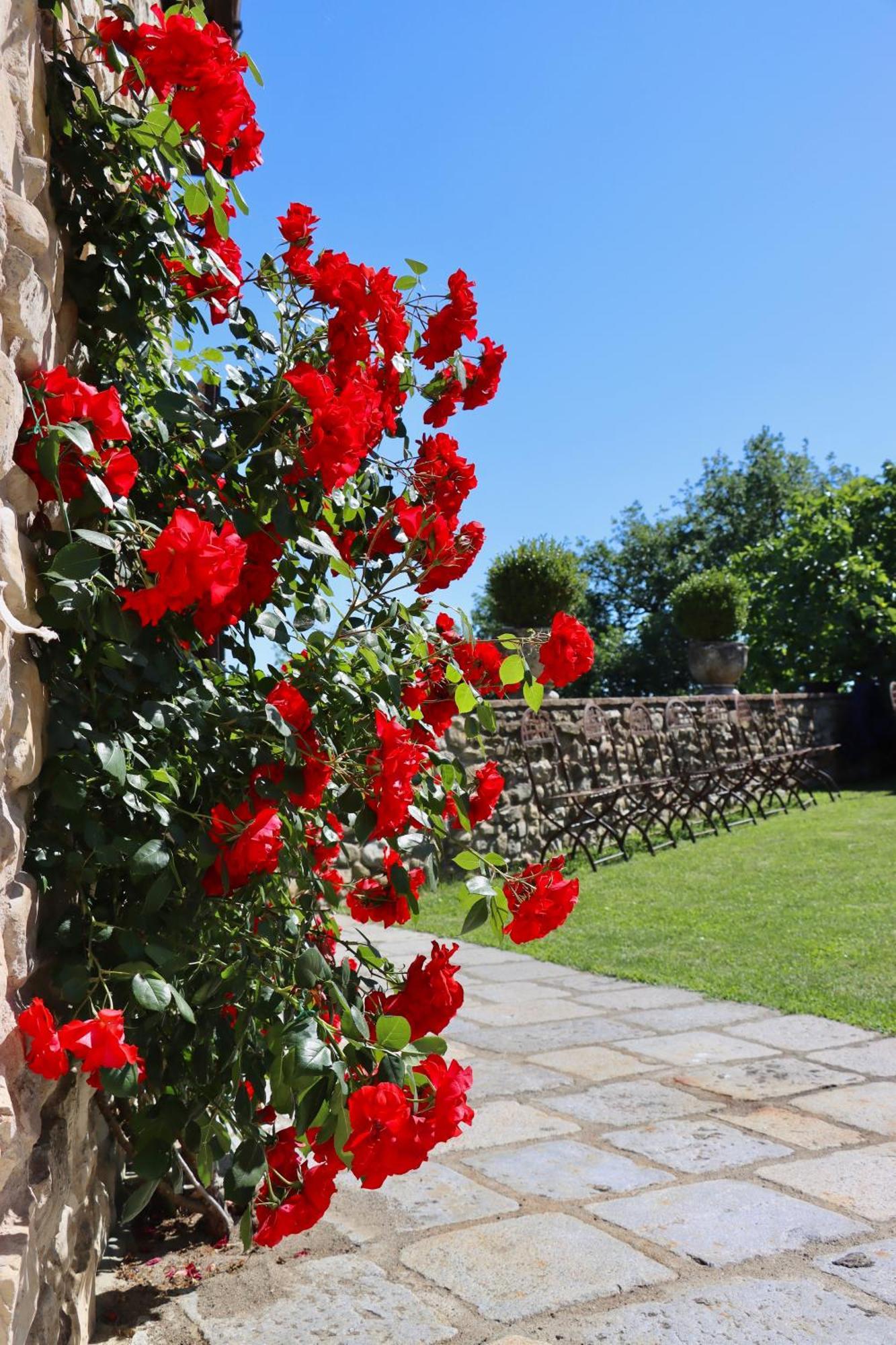Castello Di Viano Villa Екстериор снимка