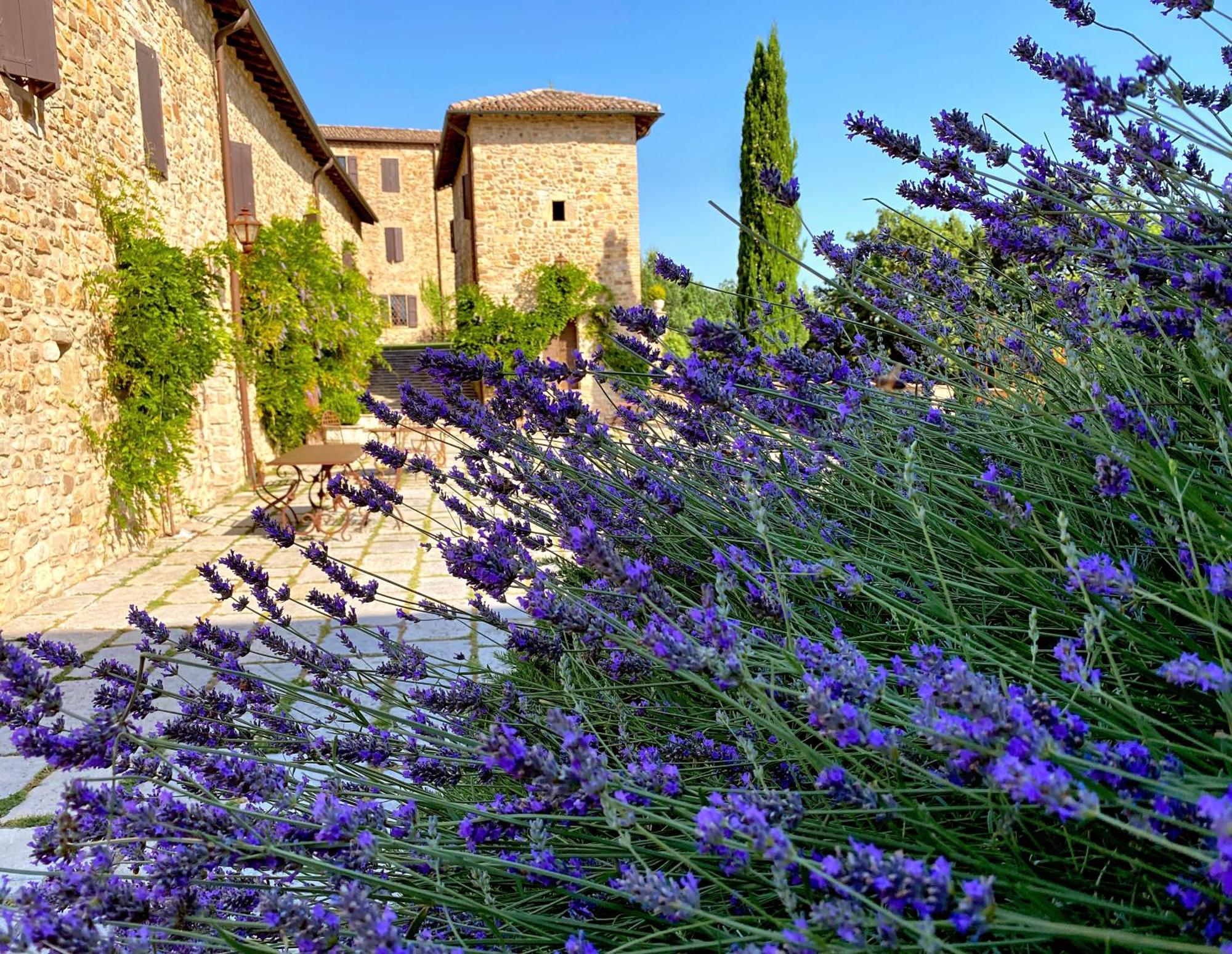 Castello Di Viano Villa Екстериор снимка
